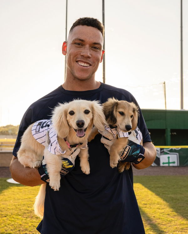 Aaron Judge plays with his pet Dachshund Gus inside Yankee