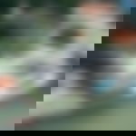 article-image