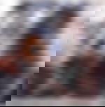 article-image