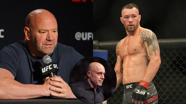 Colby Covington, dana white, joe Rogan