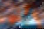 article-image