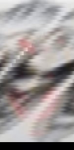 article-image