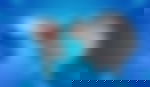 article-image