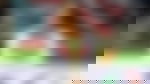article-image
