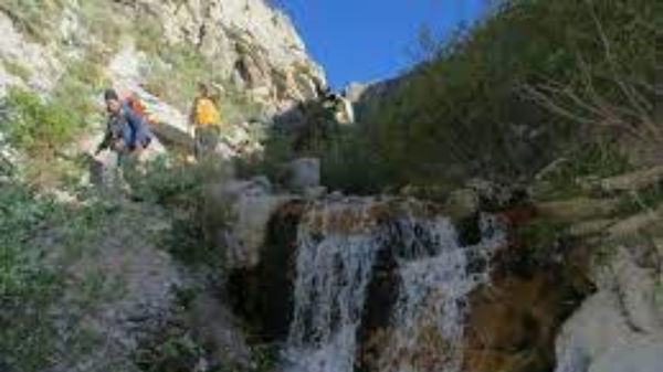 feature-image