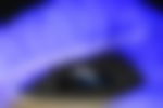 article-image