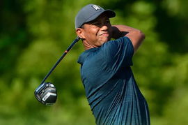 Tiger Woods