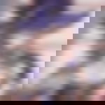 article-image