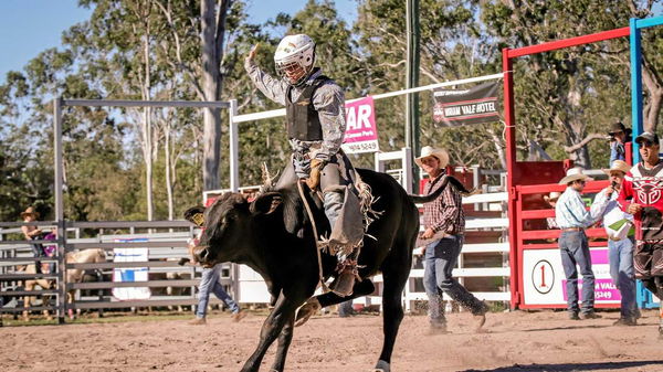 bull riding