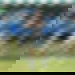 article-image