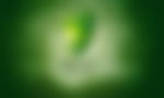 article-image