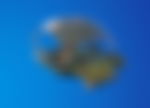 „Top 10“ Der Seltenen Segelflugzeuge In Fortnite, Die Fast Unmöglich Zu Bekommen Sind 8 Aerial Assualt One Fortnite