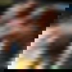 article-image