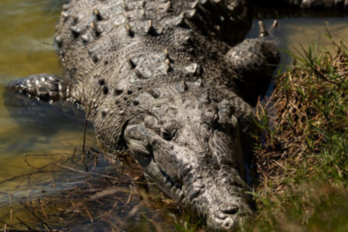 feature-image