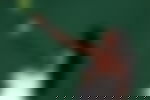 article-image