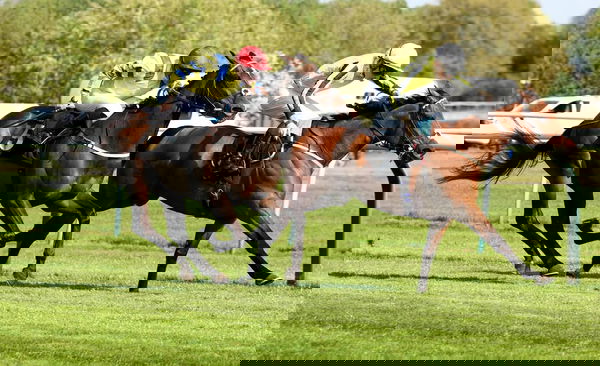 feature-image