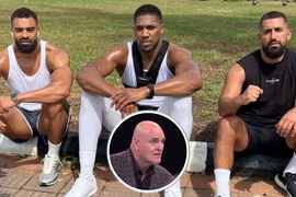 Anthony Joshua, John Fury