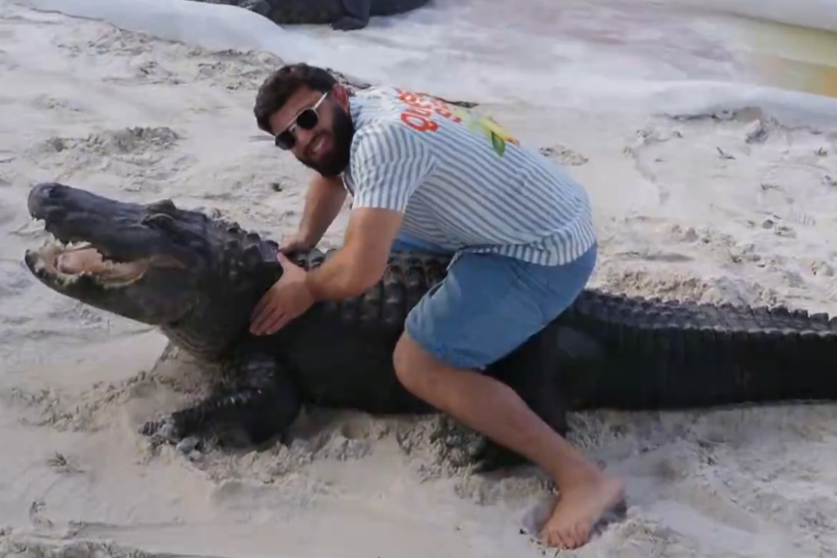 Arman Tsarukyan Tries to Put a Huge Alligator in a Rear-Naked Choke