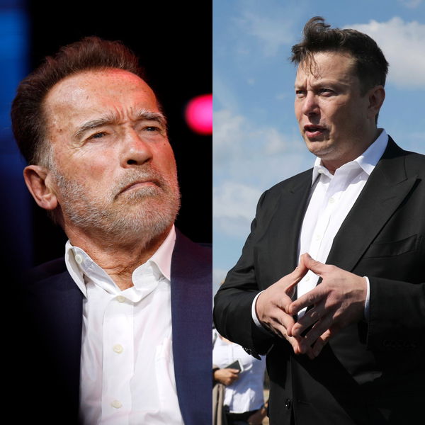 Arnold, Musk (2)