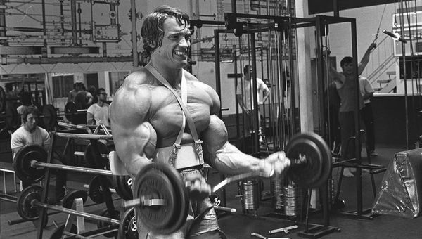 Arnold Schwarzenegger