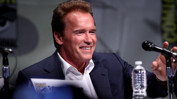 Arnold Schwarzenegger FB (1)