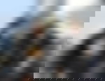 article-image