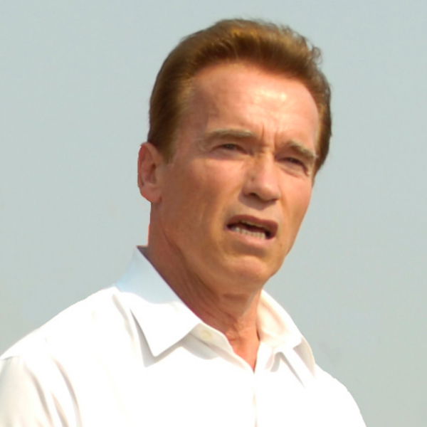 Arnold Scwarzenegger FI