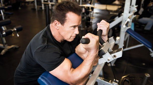 Arnold bicep