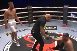BKFC 81