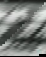 article-image