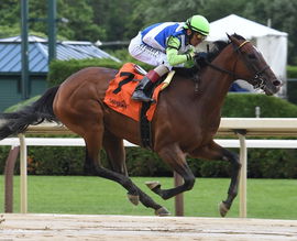 Belmont Stakes (2)