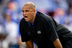 NCAA, College League, USA Football: McNeese State at Florida Sep 9, 2023; Gainesville, Florida, USA; Florida Gators assi