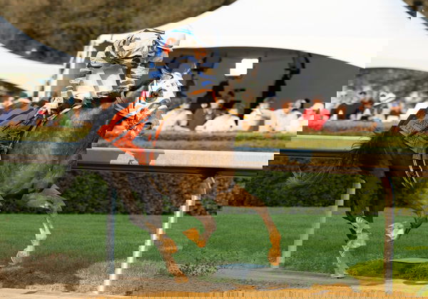 feature-image