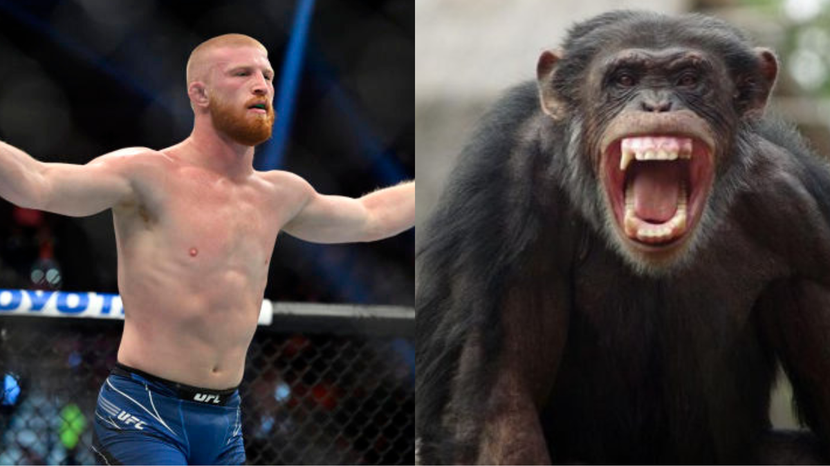 “Would Get His Face Peeled Off and Dismembered…” UFC Prospect Bo Nickal’s Outrageous Claim of