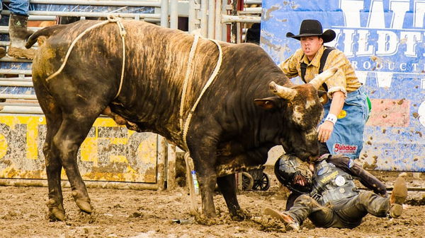 Bull Riding FB