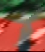 article-image