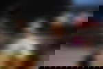article-image