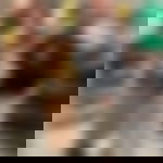 article-image