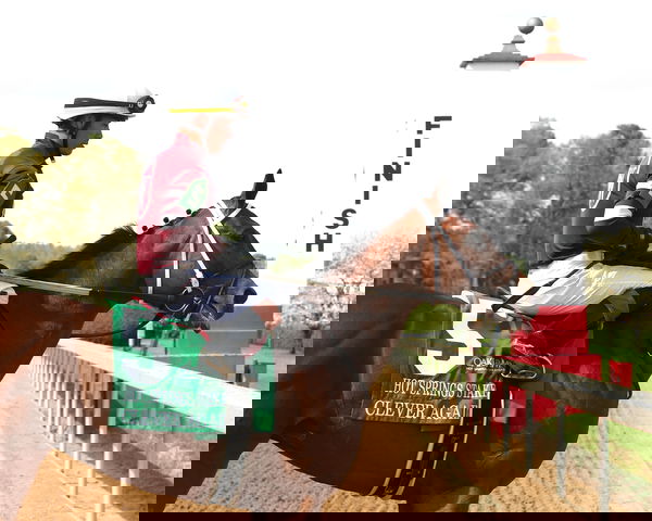 feature-image