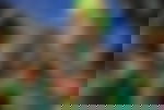 article-image