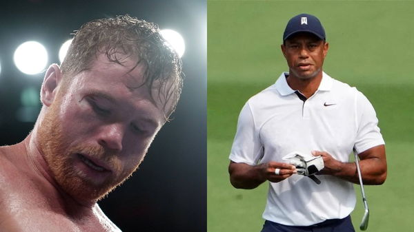 Canelo Tiger Woods Collage