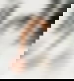 article-image