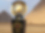 article-image