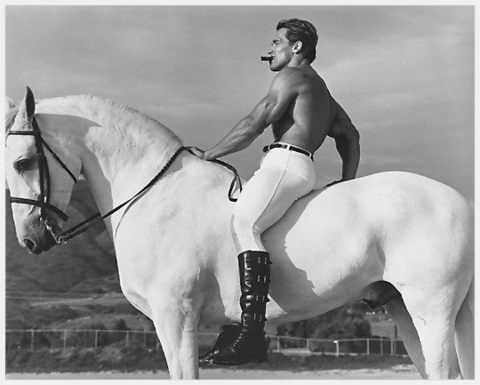 Arnold on a horse