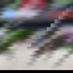 article-image