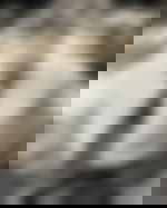 article-image