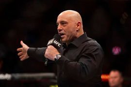 Joe Rogan