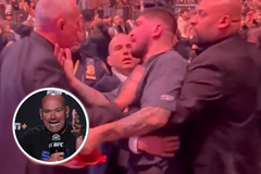 Dillion Danis; Dana White