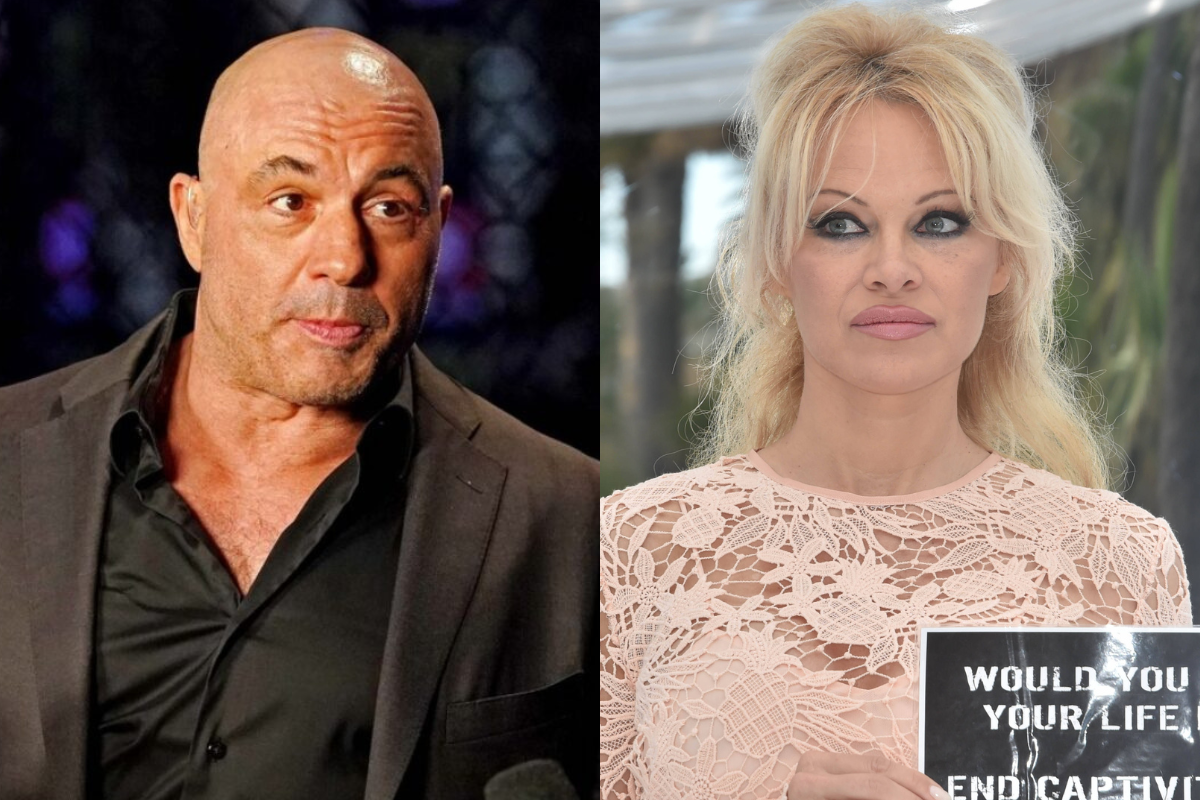 Joe Rogan Recalls Two Musicians Who Nearly Fought in UFC Cage Over Pamela Anderson