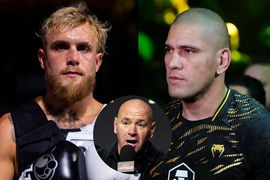 Jake Paul; Alex Pereira; Dana White